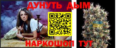 молекула духа Кулебаки