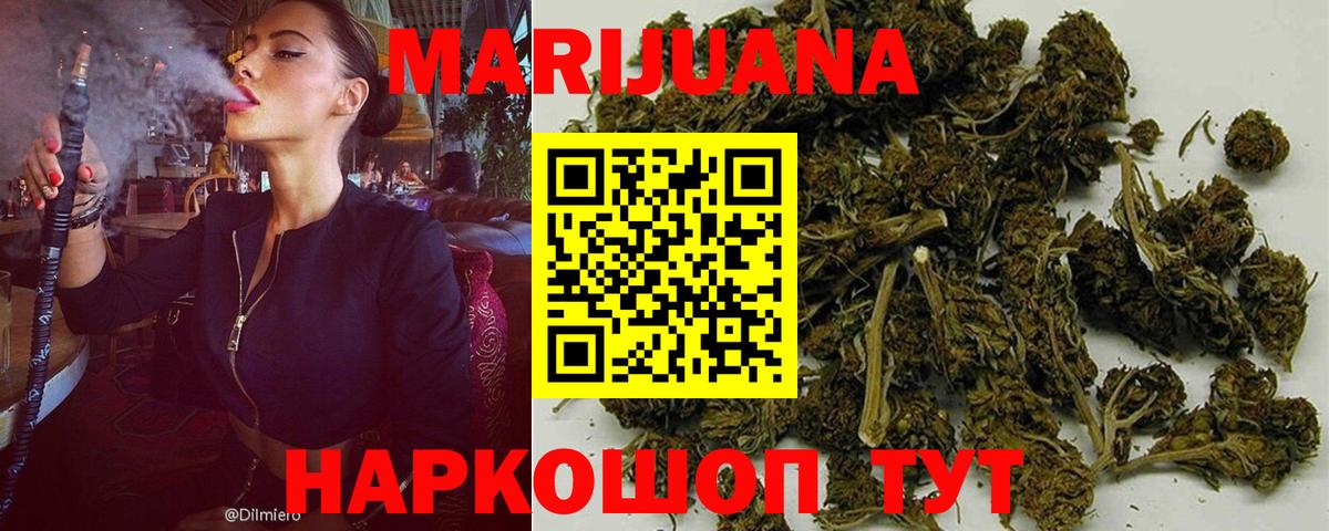 Канабис сатива Каменка